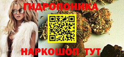 спиды Кинель