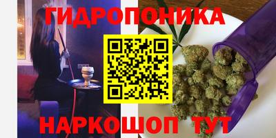 спиды Кинель