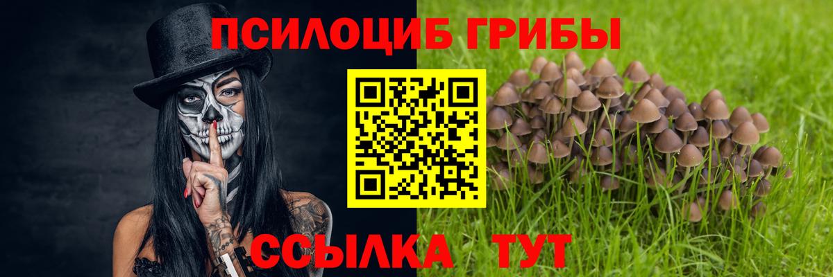 Краснокаменск  Галлюциногенные грибы прущие грибы  Вход с VPN 